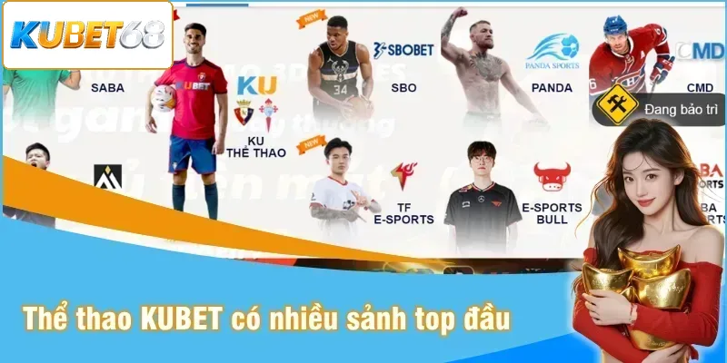 Thể thao Kubet gom nhiều sảnh uy tín