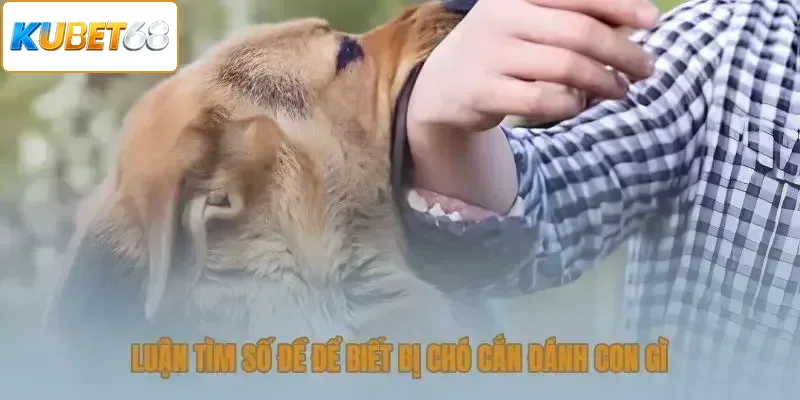 Luận tìm số đề để biết bị chó cắn đánh con gì