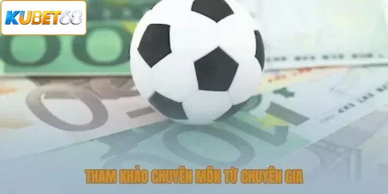 Tham khảo chuyên môn từ chuyên gia