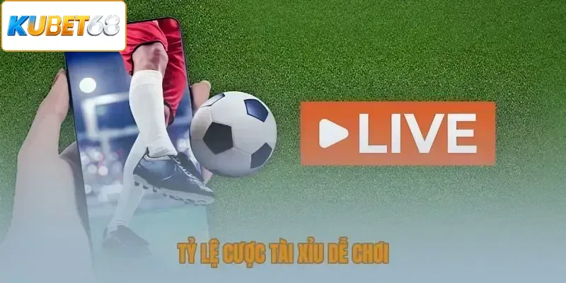Tỷ lệ cược Tài xỉu dễ chơi